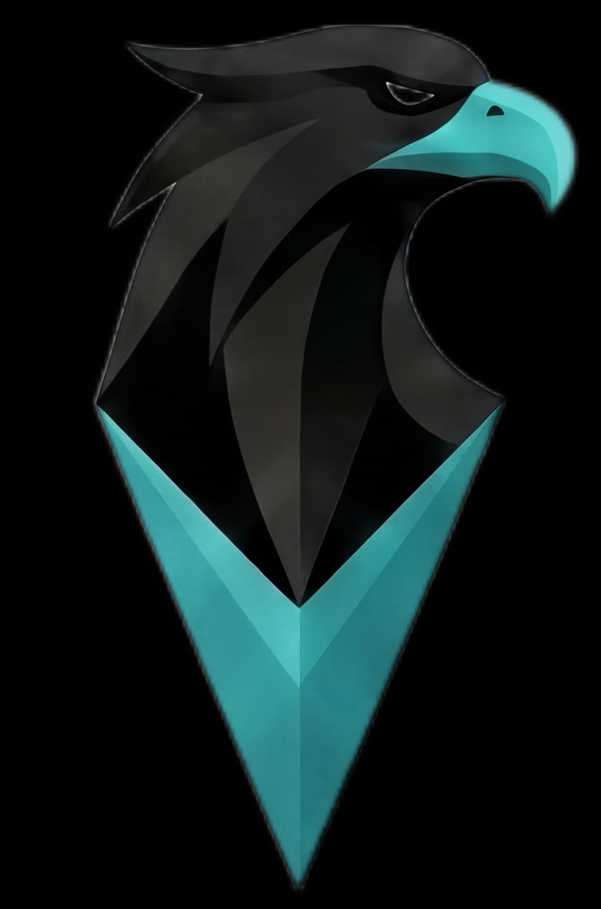 FlyPlayers Logo